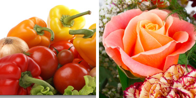 Departments at Vinckier Foods